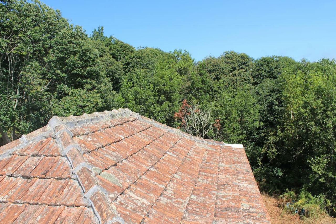 Puntallana Casa Fita En El Cubo De La Galga 게스트하우스 외부 사진